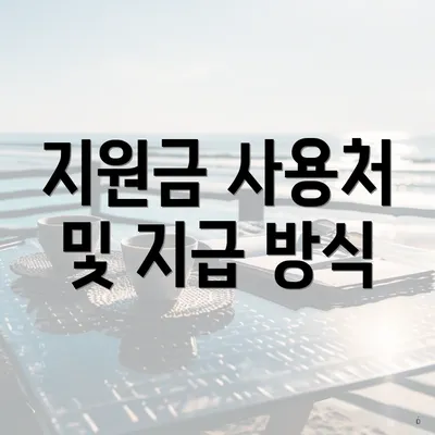 지원금 사용처 및 지급 방식