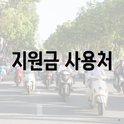지원금 사용처