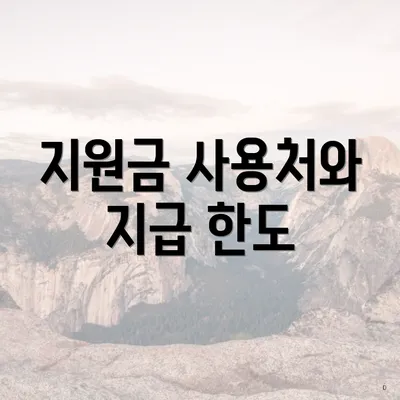 지원금 사용처와 지급 한도