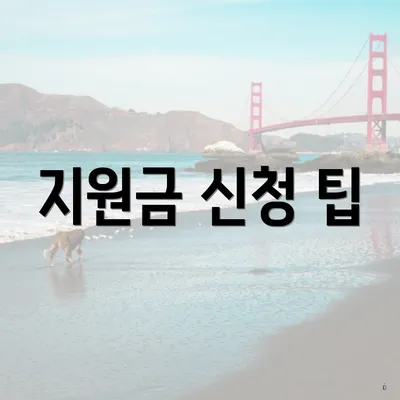 지원금 신청 팁