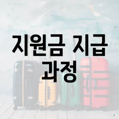 지원금 지급 과정