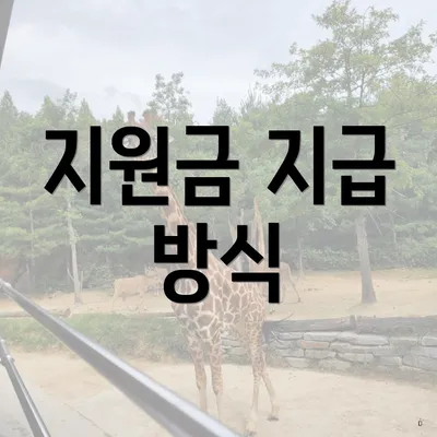 지원금 지급 방식