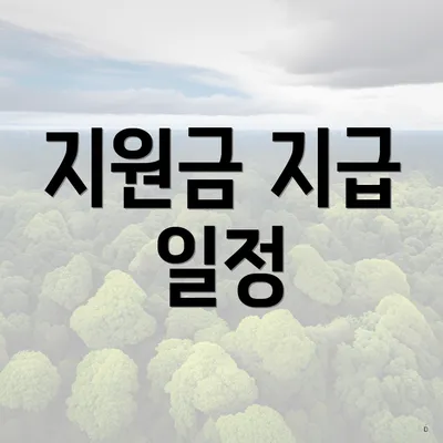지원금 지급 일정