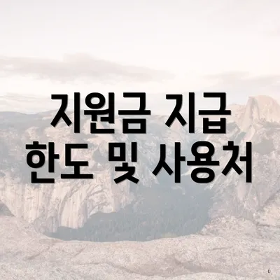 지원금 지급 한도 및 사용처