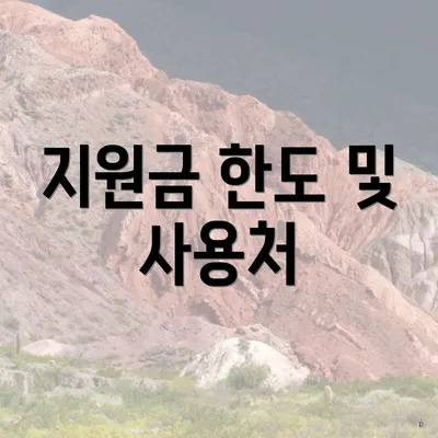 지원금 한도 및 사용처