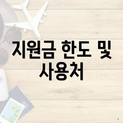 지원금 한도 및 사용처