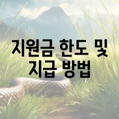 지원금 한도 및 지급 방법