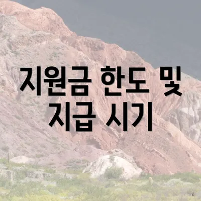 지원금 한도 및 지급 시기