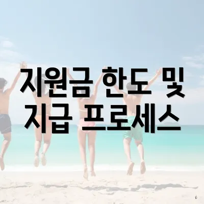 지원금 한도 및 지급 프로세스