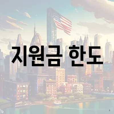 지원금 한도