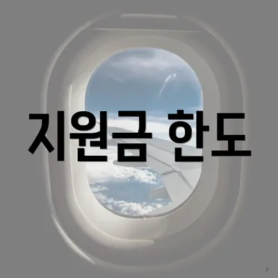 지원금 한도