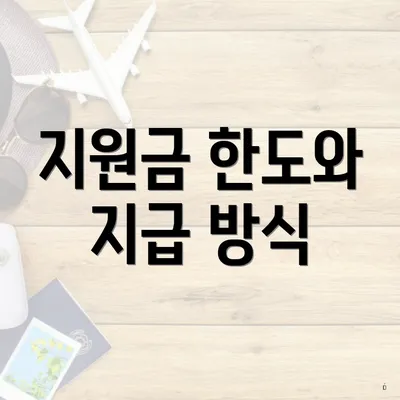 지원금 한도와 지급 방식