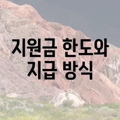 지원금 한도와 지급 방식