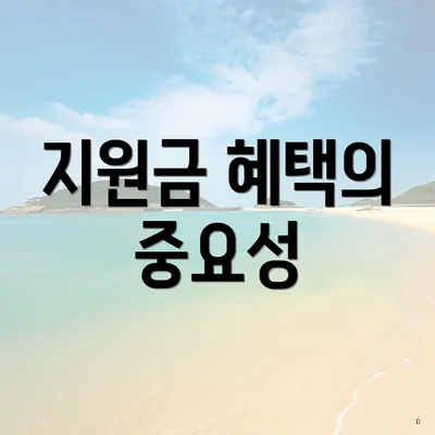 지원금 혜택의 중요성