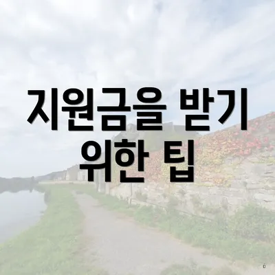 지원금을 받기 위한 팁