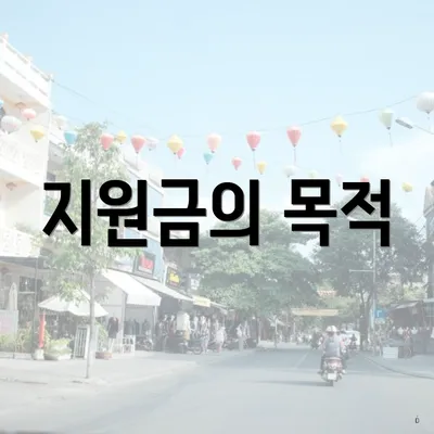 지원금의 목적