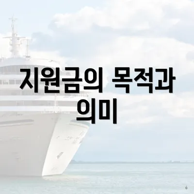 지원금의 목적과 의미
