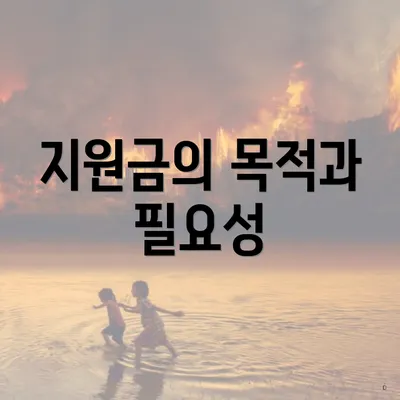 지원금의 목적과 필요성