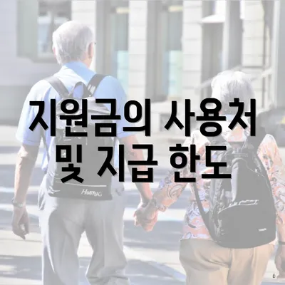 지원금의 사용처 및 지급 한도