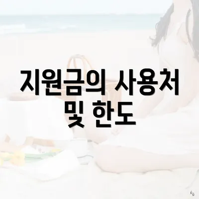 지원금의 사용처 및 한도