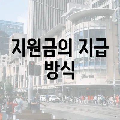지원금의 지급 방식