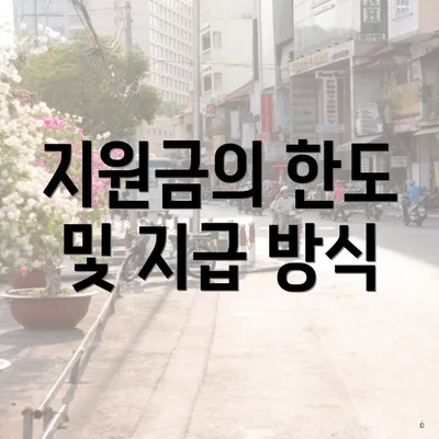 지원금의 한도 및 지급 방식