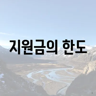 지원금의 한도