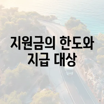 지원금의 한도와 지급 대상