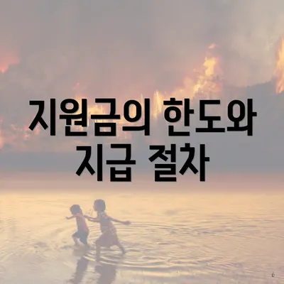 지원금의 한도와 지급 절차