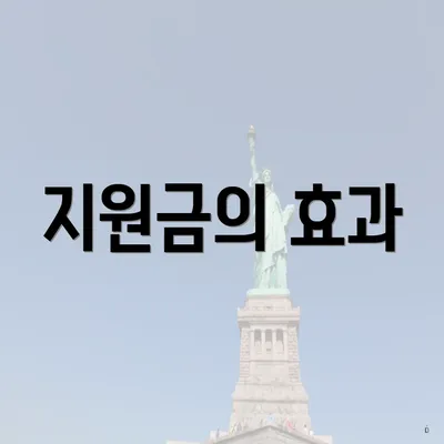 지원금의 효과