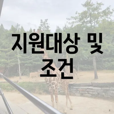 지원대상 및 조건
