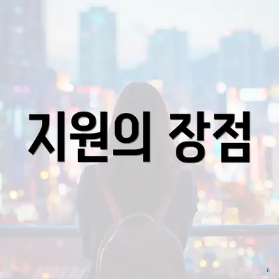 지원의 장점