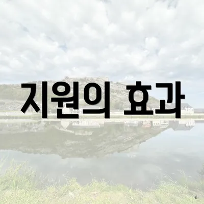 지원의 효과
