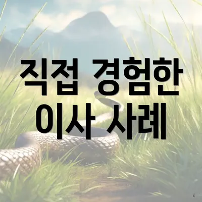 직접 경험한 이사 사례