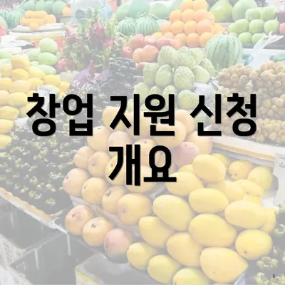 창업 지원 신청 개요
