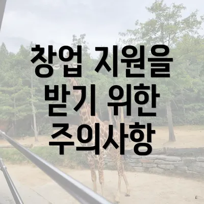 창업 지원을 받기 위한 주의사항