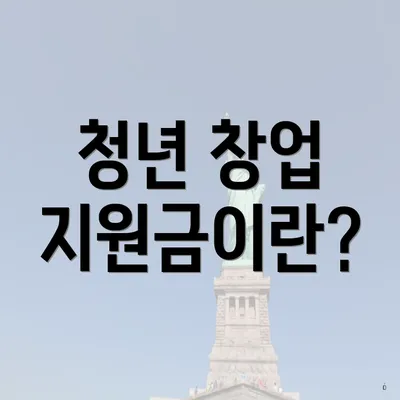 청년 창업 지원금이란?