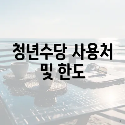 청년수당 사용처 및 한도