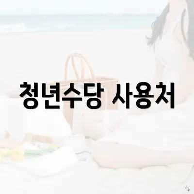 청년수당 사용처