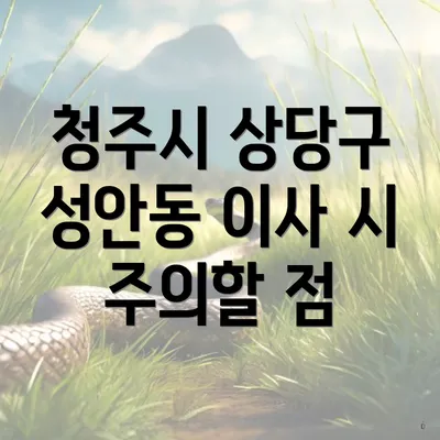 청주시 상당구 성안동 이사 시 주의할 점