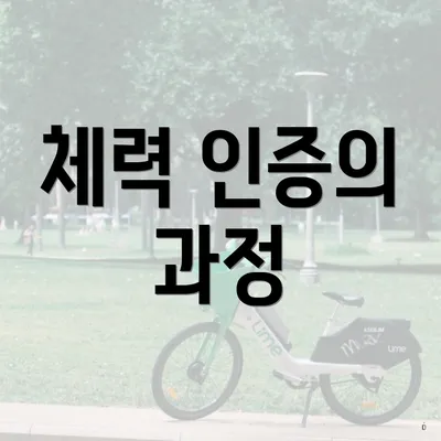 체력 인증의 과정