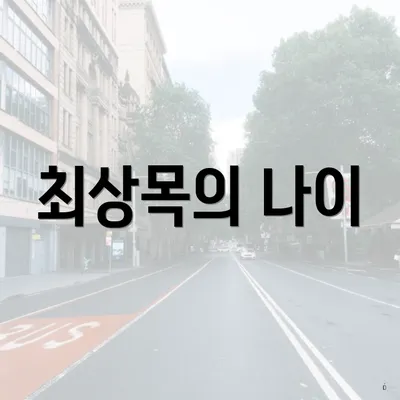 최상목의 나이