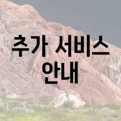 추가 서비스 안내