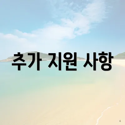 추가 지원 사항