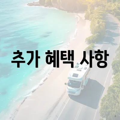 추가 혜택 사항