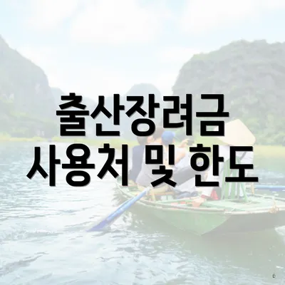 출산장려금 사용처 및 한도