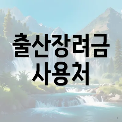 출산장려금 사용처