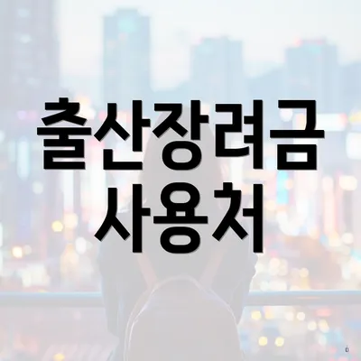 출산장려금 사용처