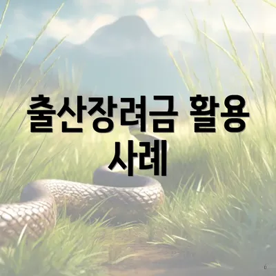 출산장려금 활용 사례