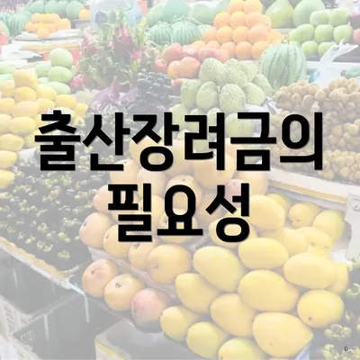 출산장려금의 필요성